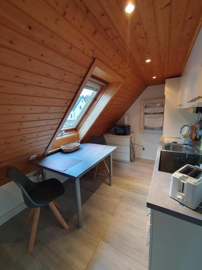 Ferienwohnung Haenel Antonshohe Esterno foto