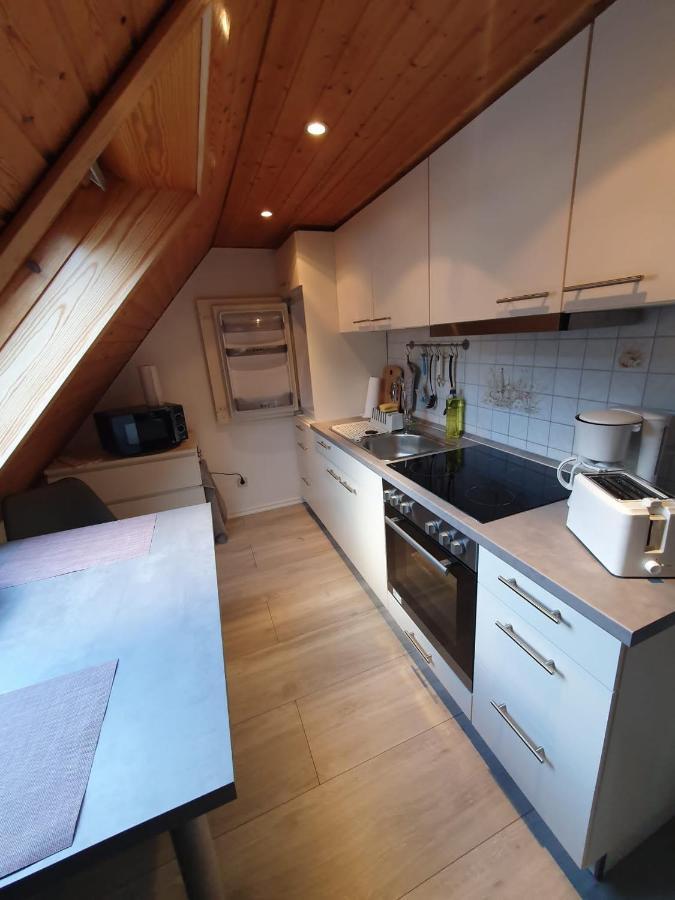 Ferienwohnung Haenel Antonshohe Esterno foto