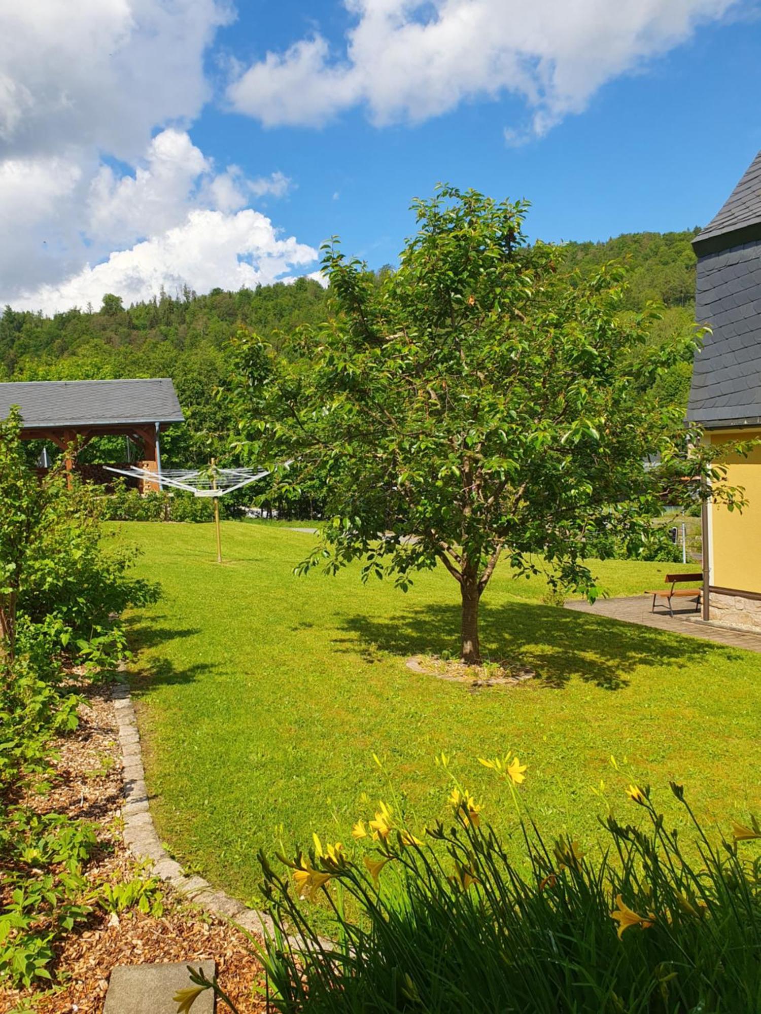 Ferienwohnung Haenel Antonshohe Esterno foto